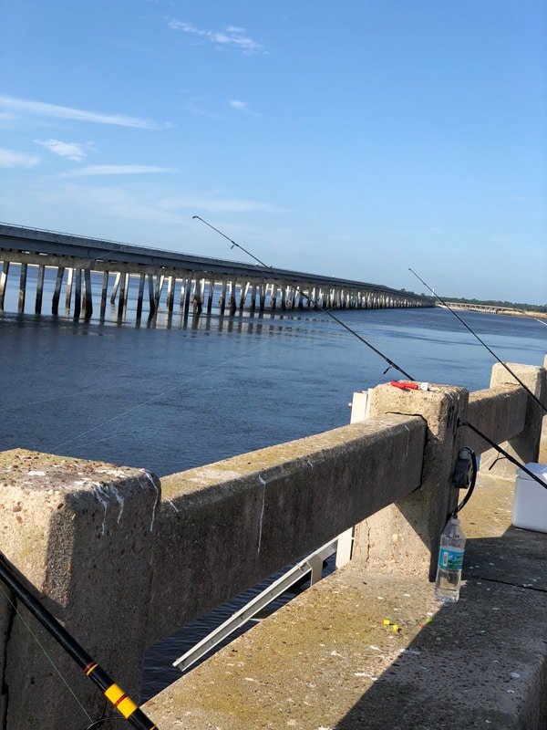 some fishing poles in the water waiting for a bite